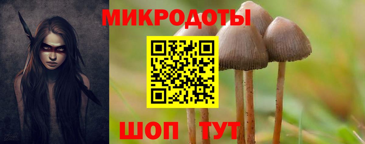 Шебекино  Галлюциногенные грибы прущие грибы  Вход с VPN 